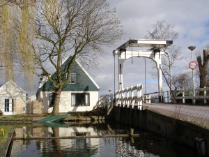 Picture 005